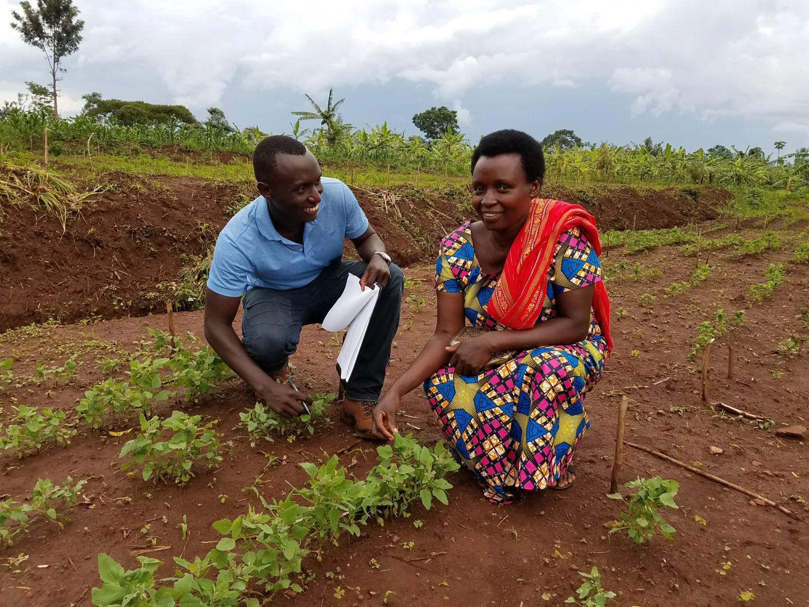 Cedric working with his mother in a quinoa farm, Rukira, Eastern Province